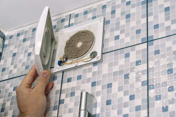 Air Duct Mold Removal in Tell City, IN