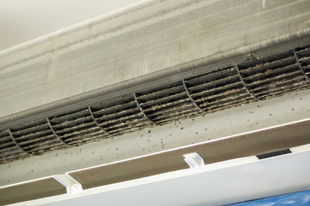 Best HVAC Duct Inspection Services  in Tell City, IN
